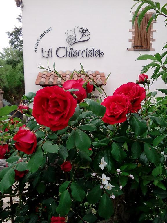 Agriturismo La Chiocciola Poggio Murella Exterior foto